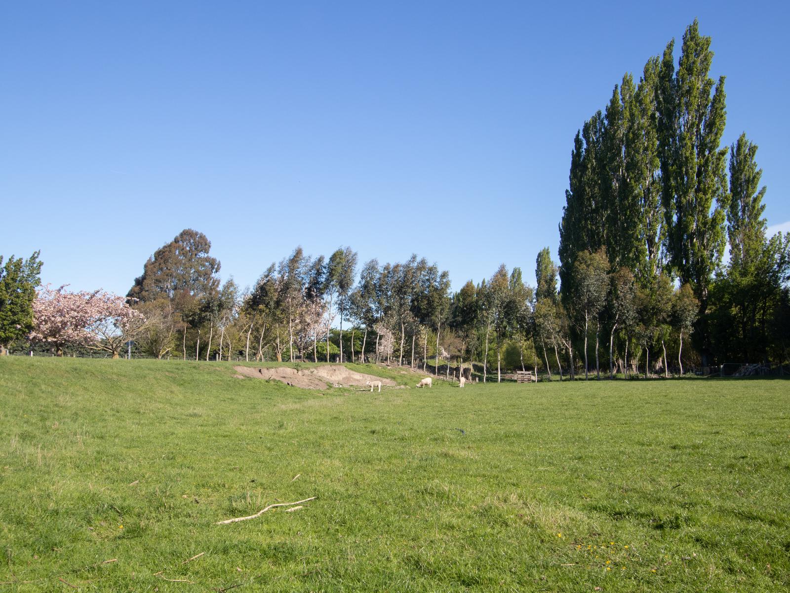 3 Smyths Road, Allenton