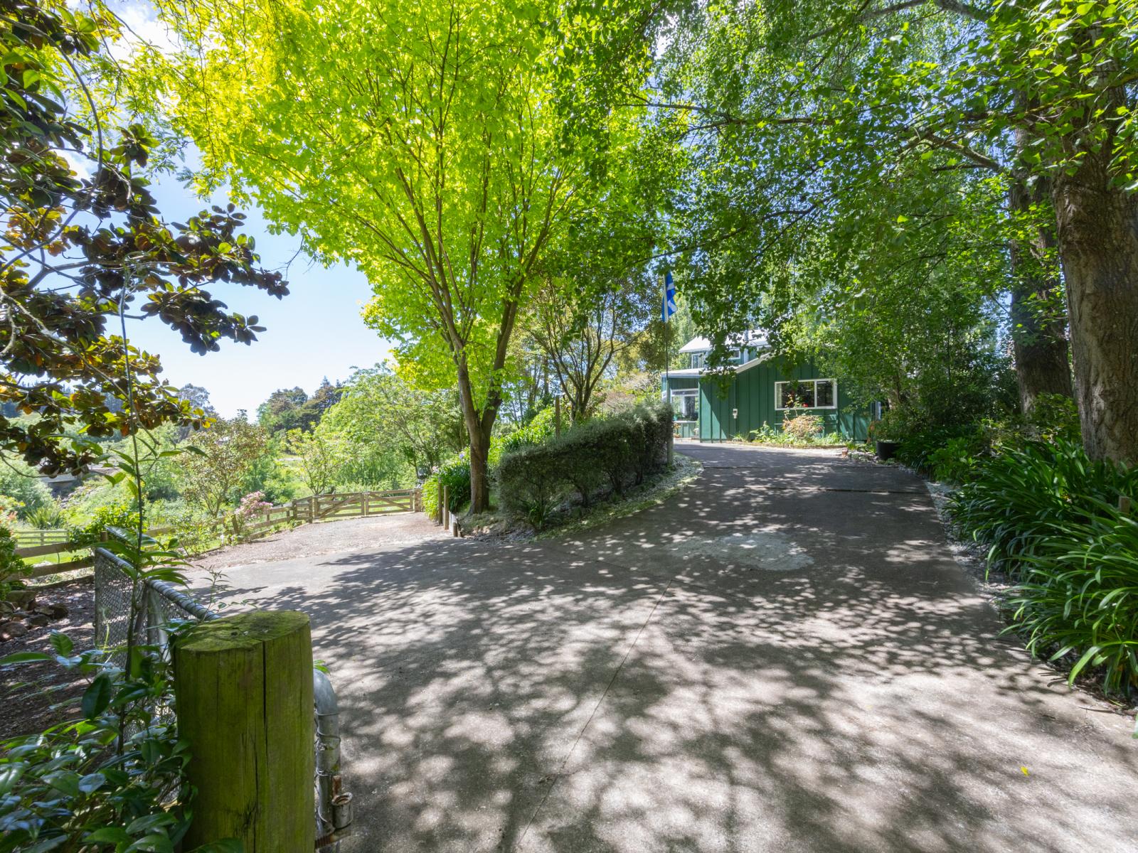 7 Poplar Grove, Bulls