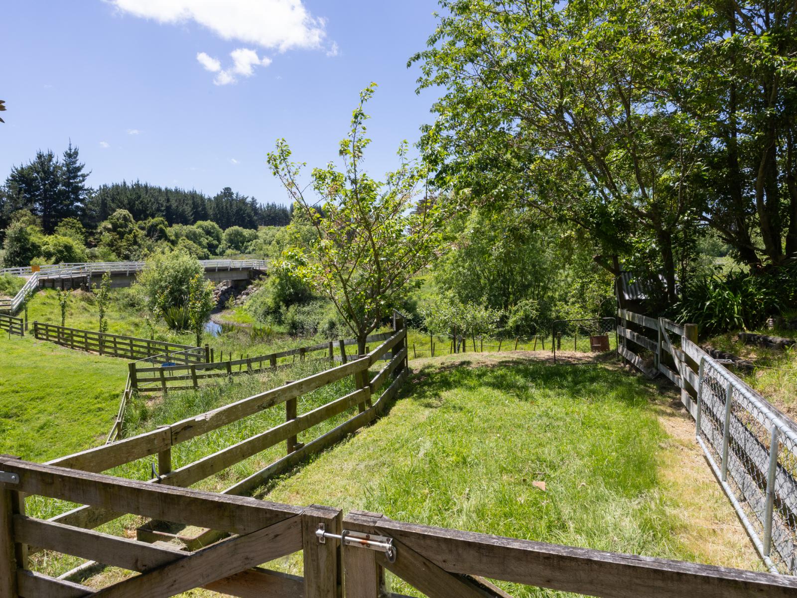 7 Poplar Grove, Bulls