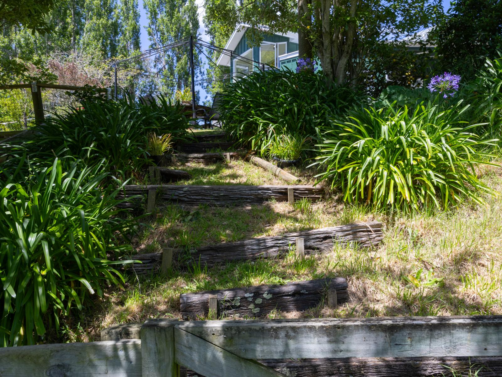 7 Poplar Grove, Bulls