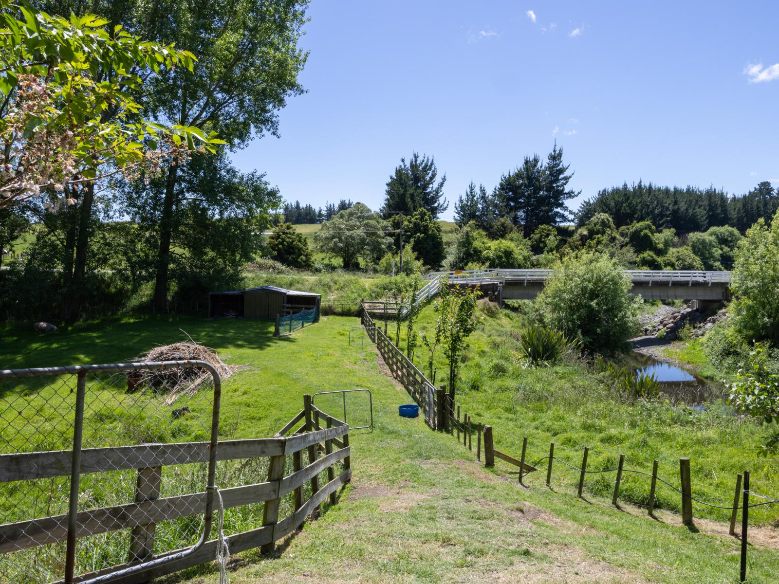 7 Poplar Grove, Bulls