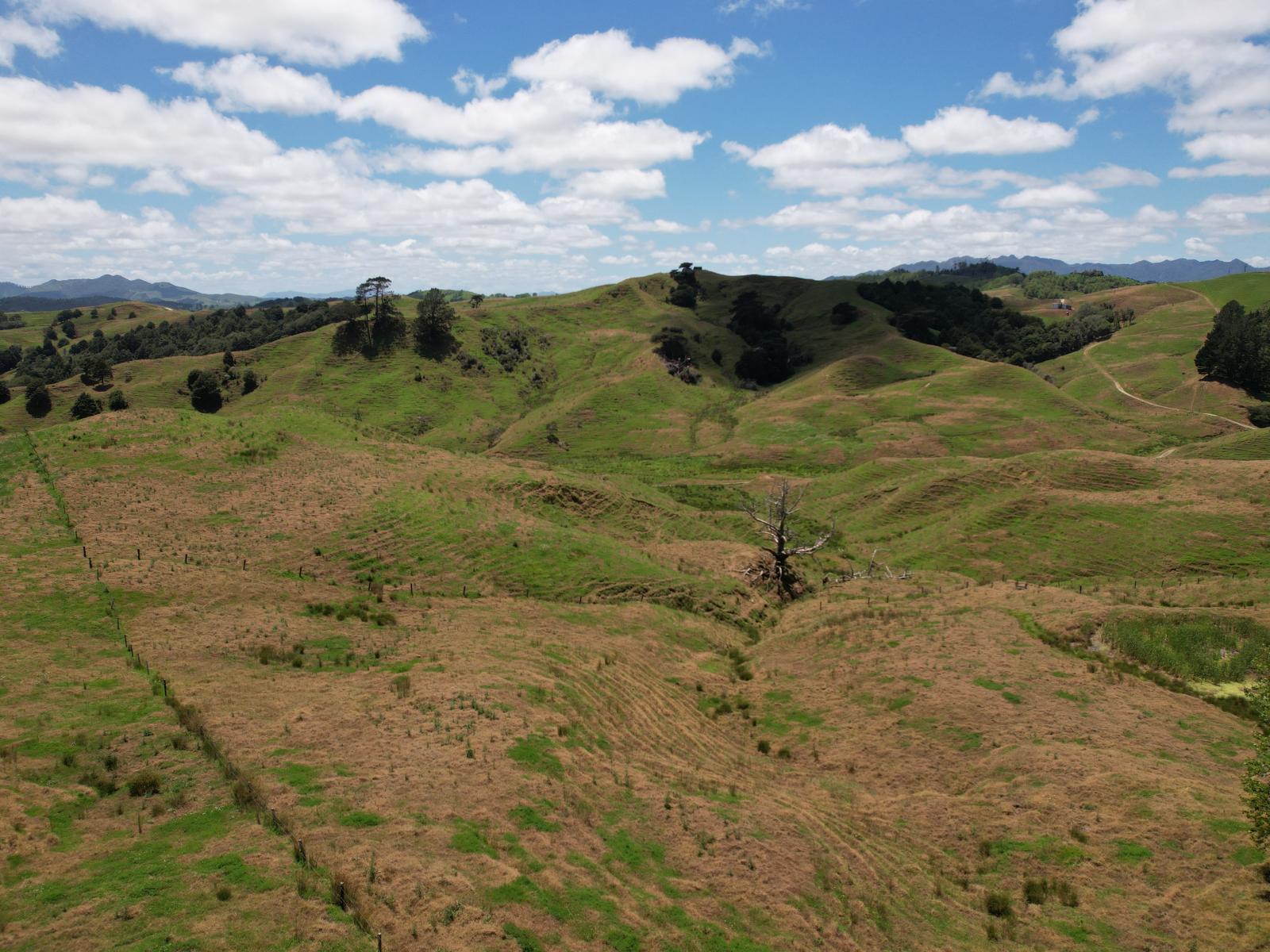 Pukehuia Road, Arapohue