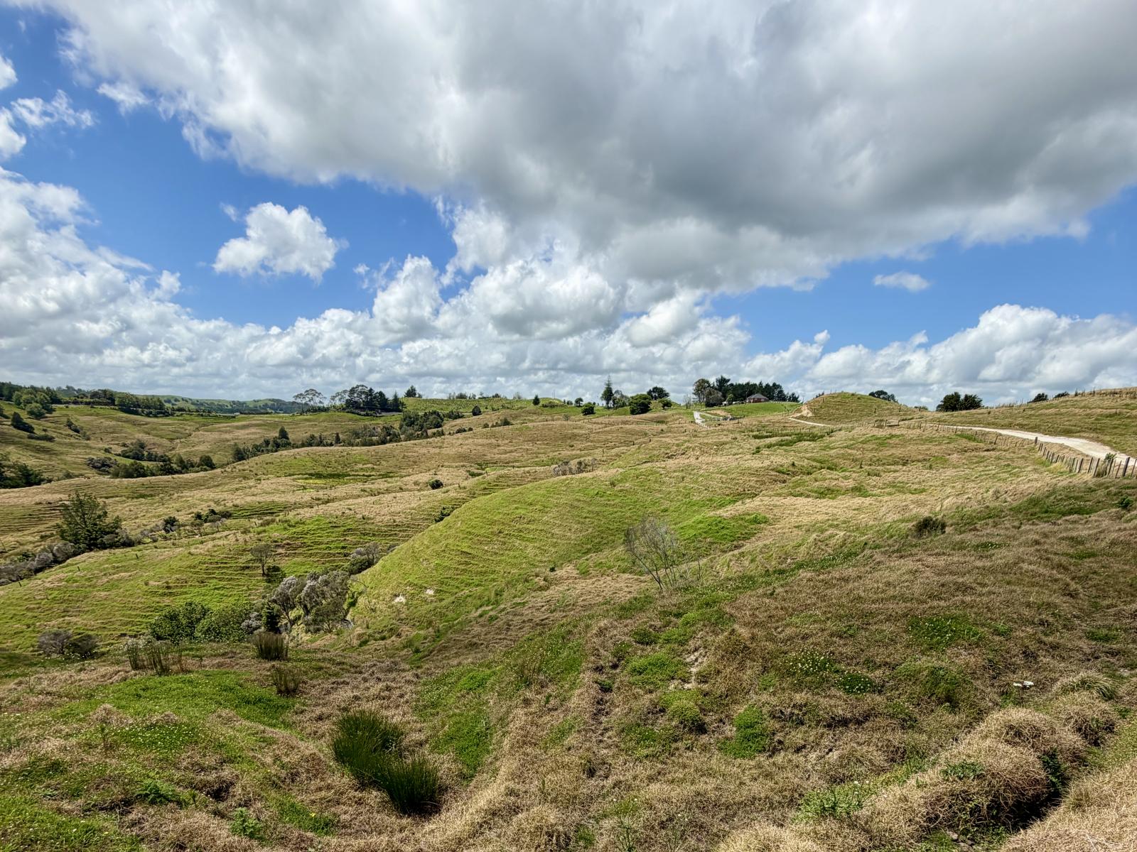 Pukehuia Road, Arapohue