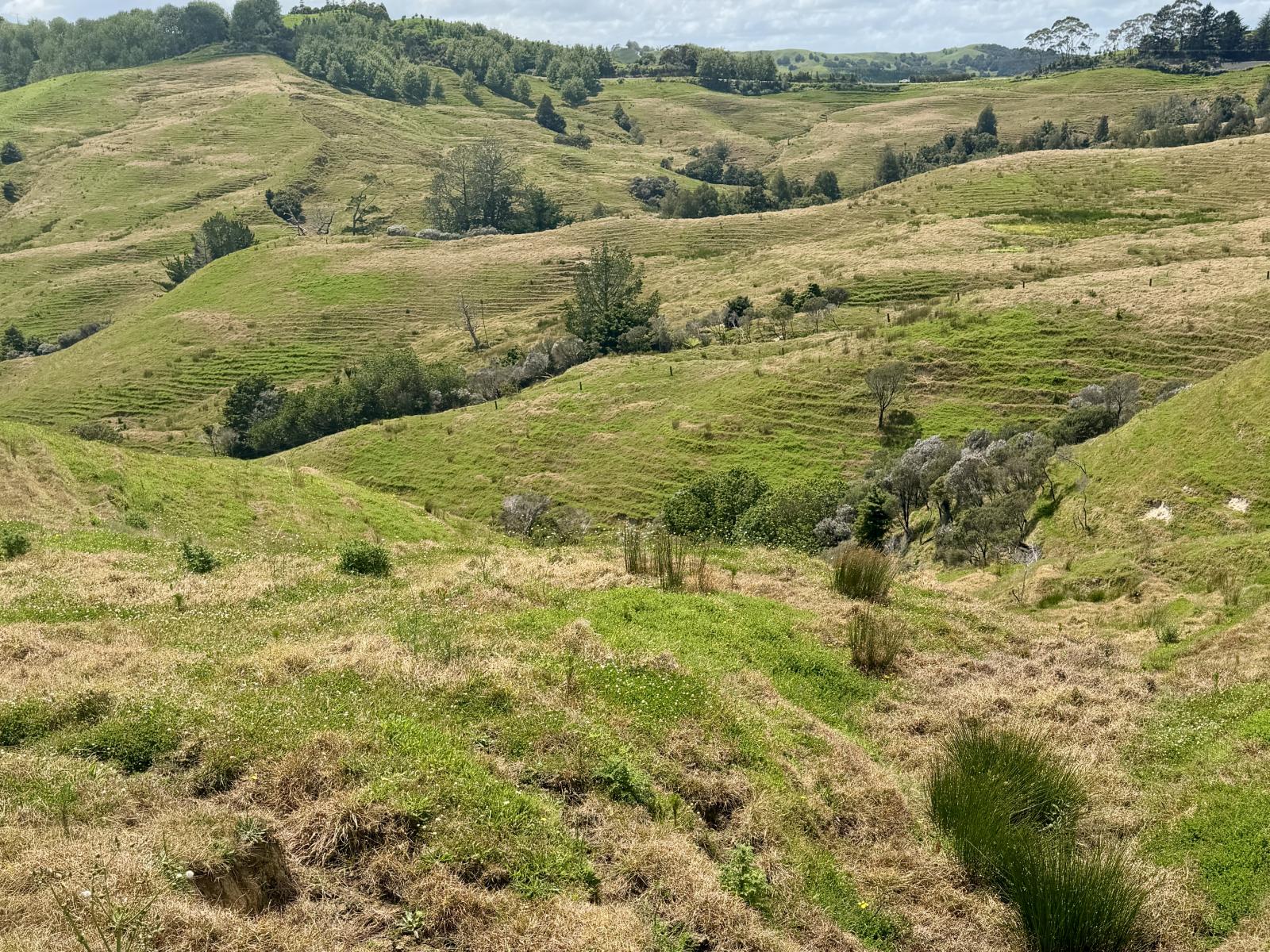Pukehuia Road, Arapohue