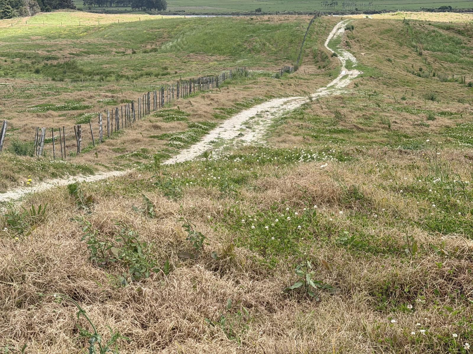 Pukehuia Road, Arapohue