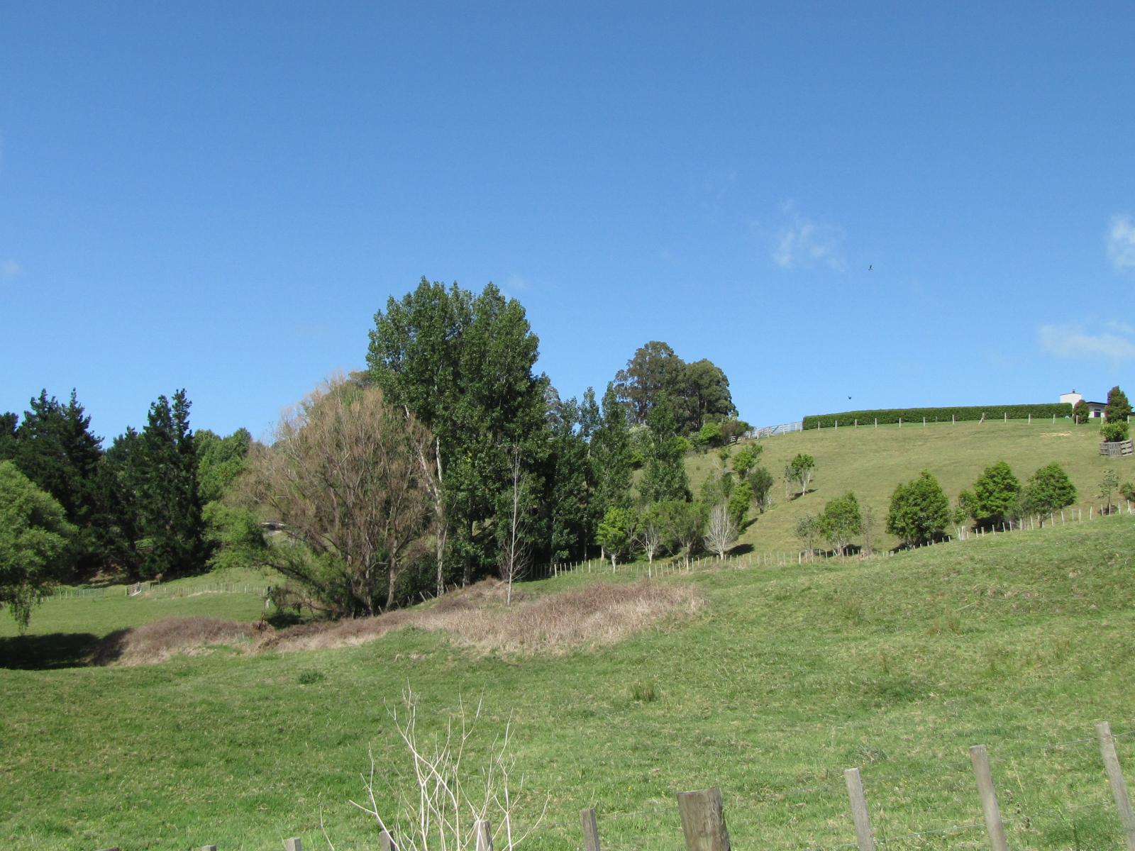 121 Wheatstone Road, Wainui