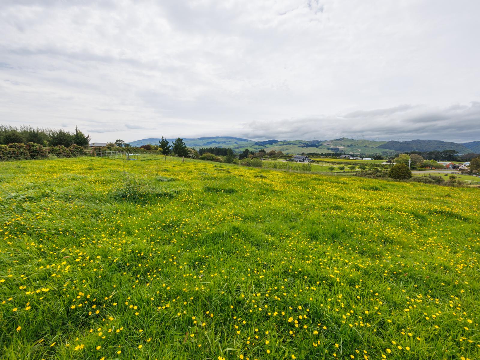 65 Harrisons Line, Ashhurst