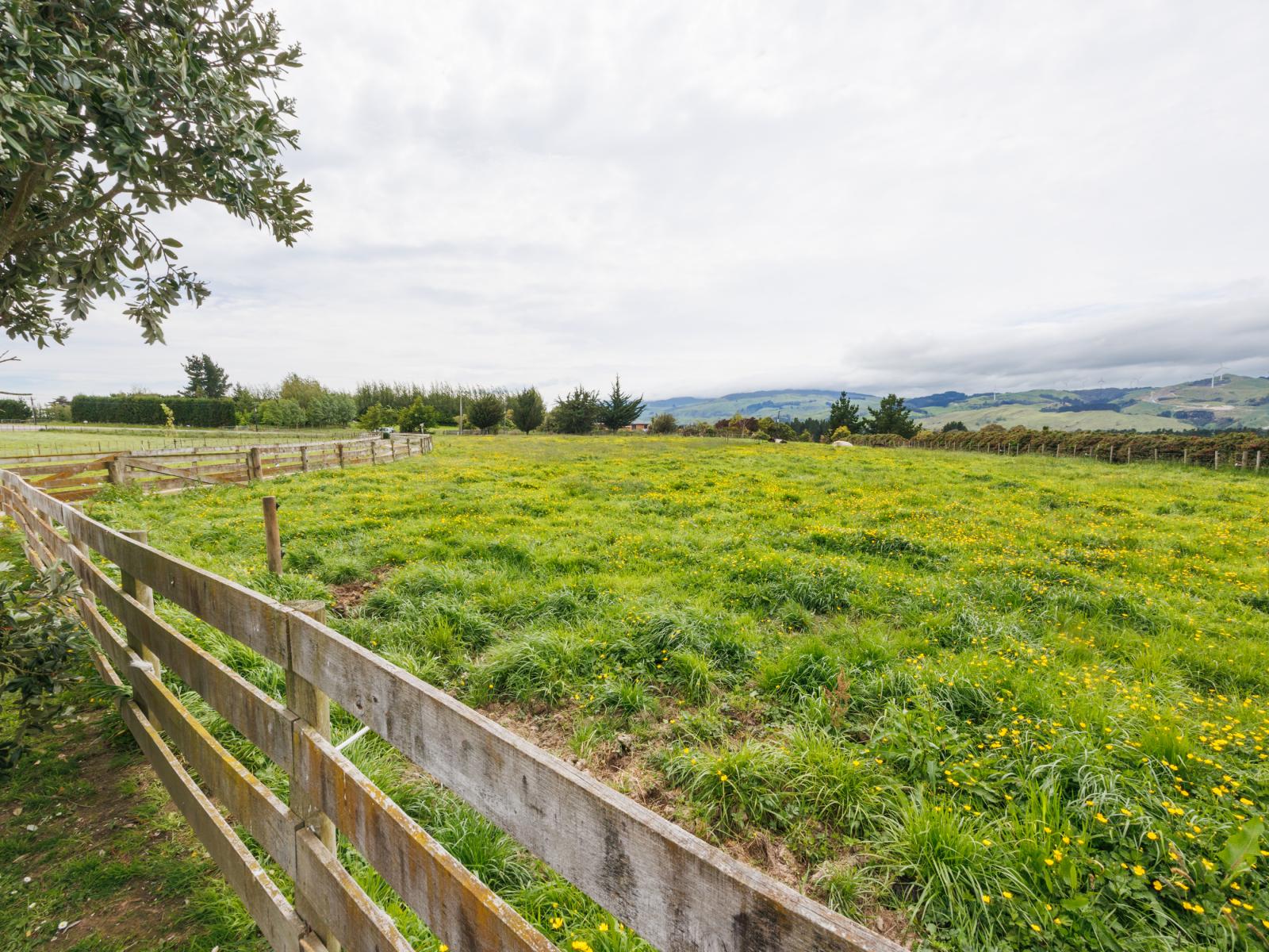 65 Harrisons Line, Ashhurst