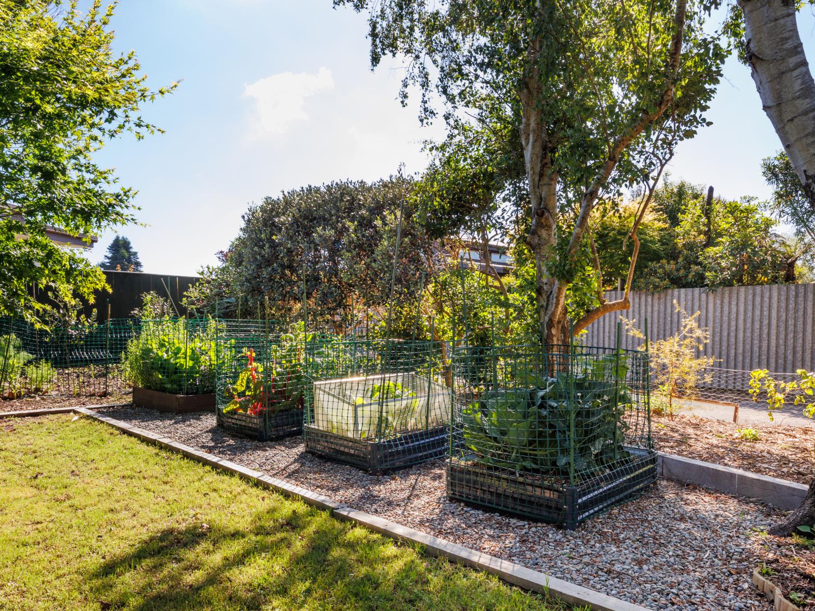 52A Ihaka Street, Hokowhitu