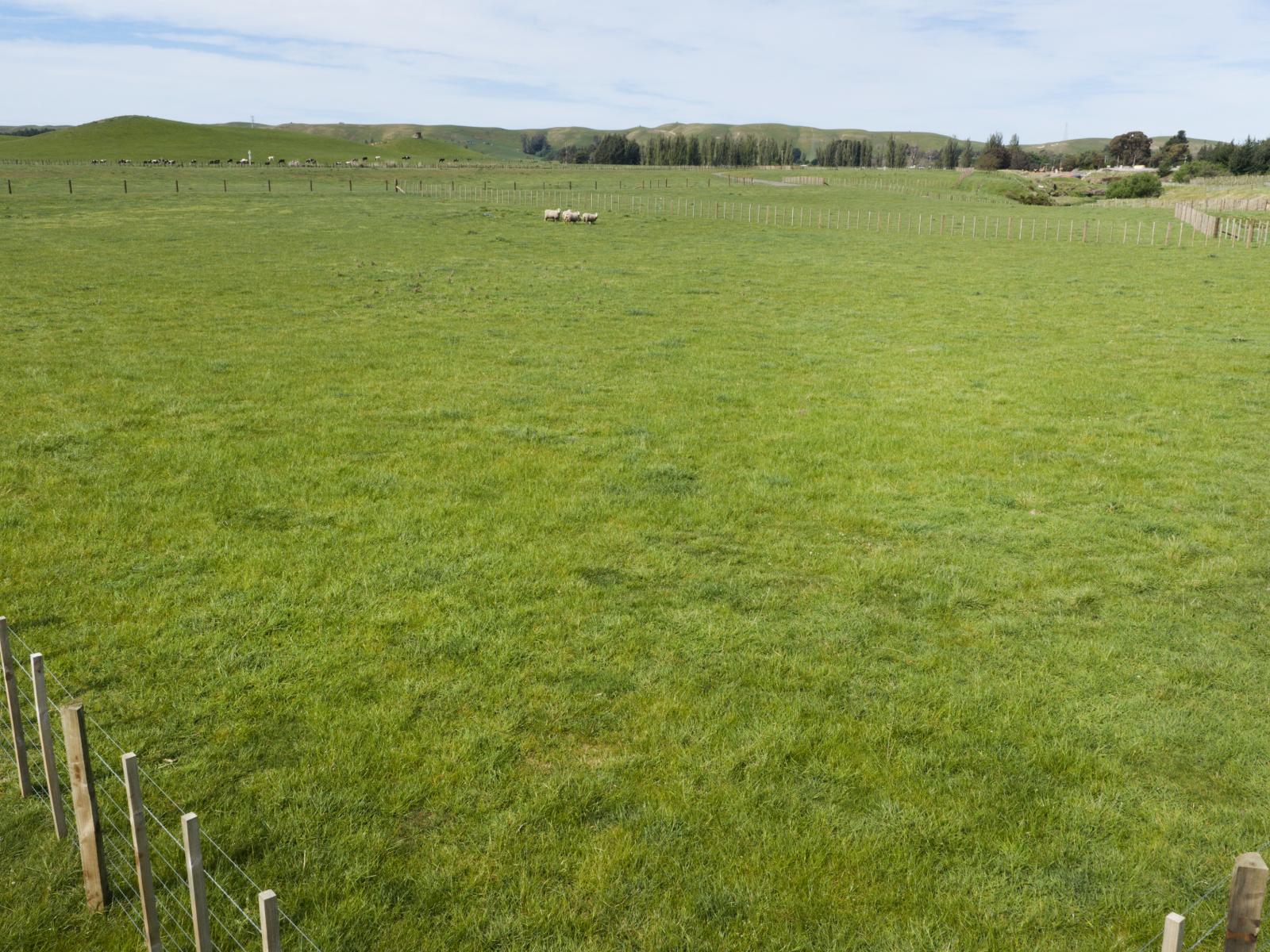 Taihape Road, Sherenden