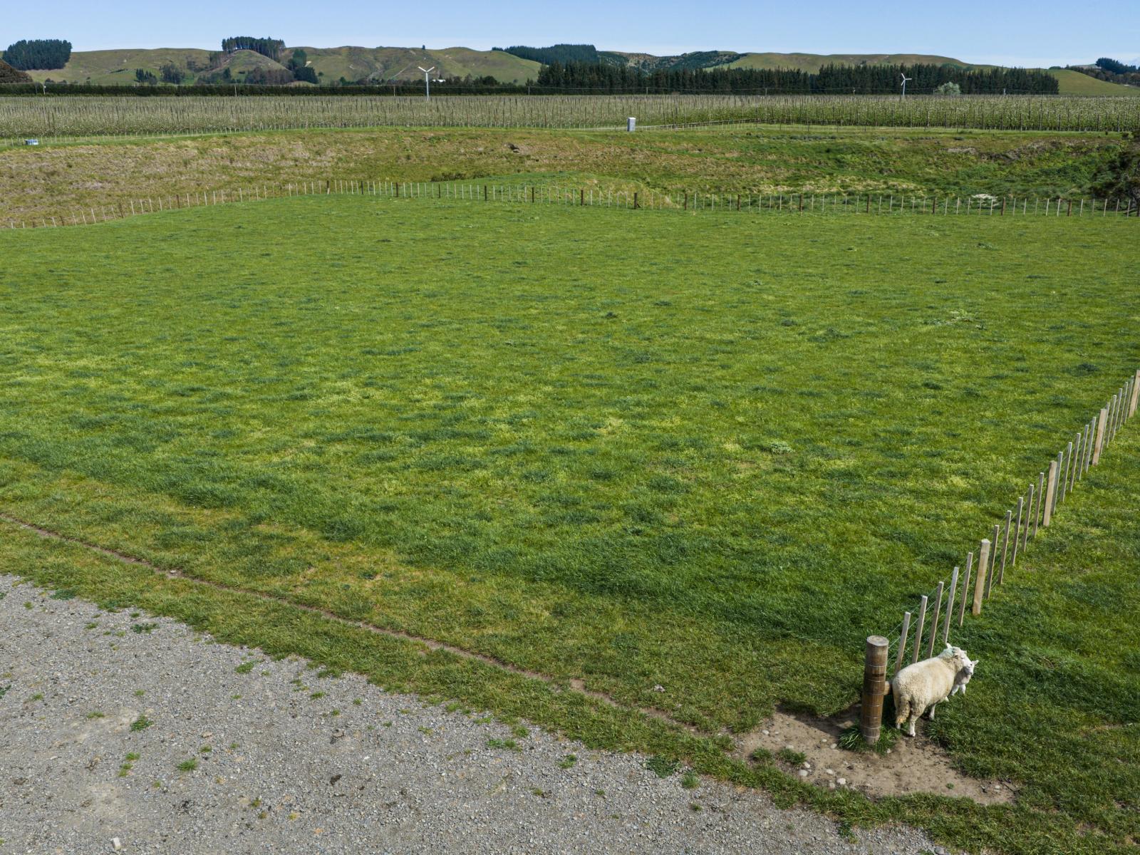 Taihape Road, Sherenden