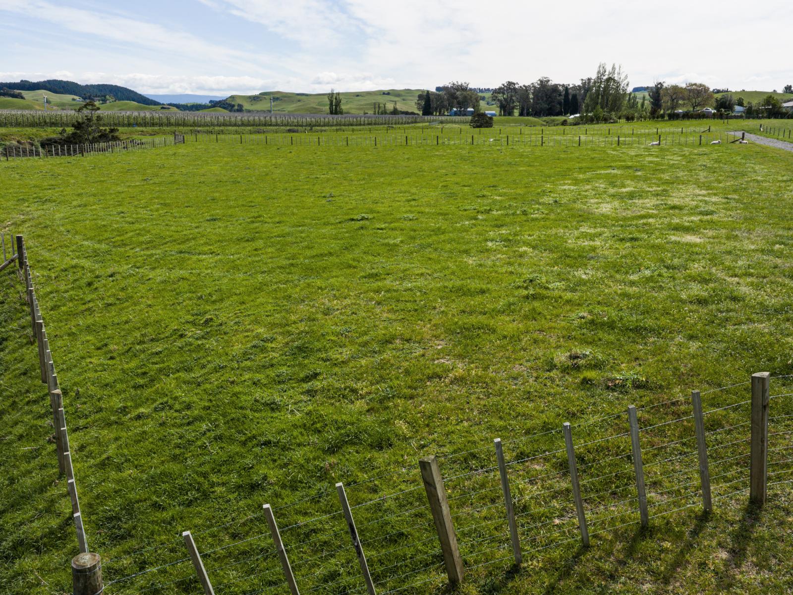 Taihape Road, Sherenden