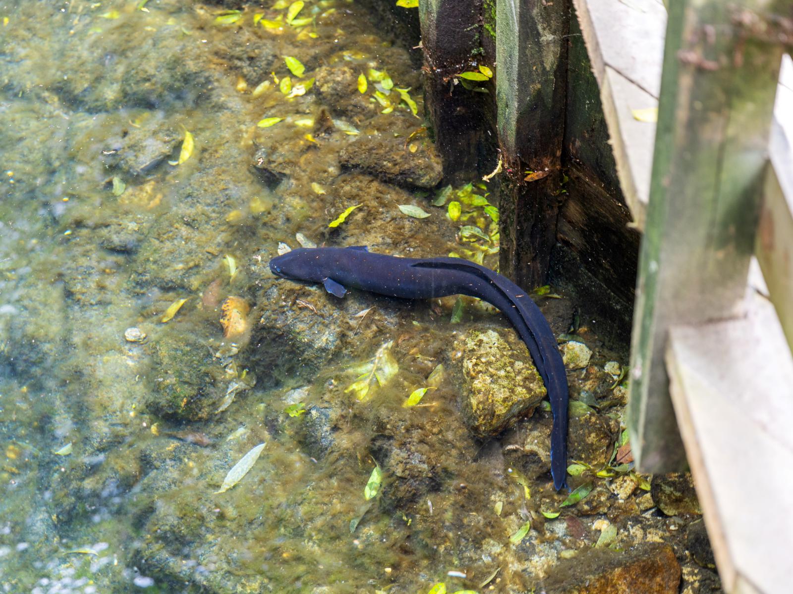 135E(a) McLaren Falls Road, Omanawa