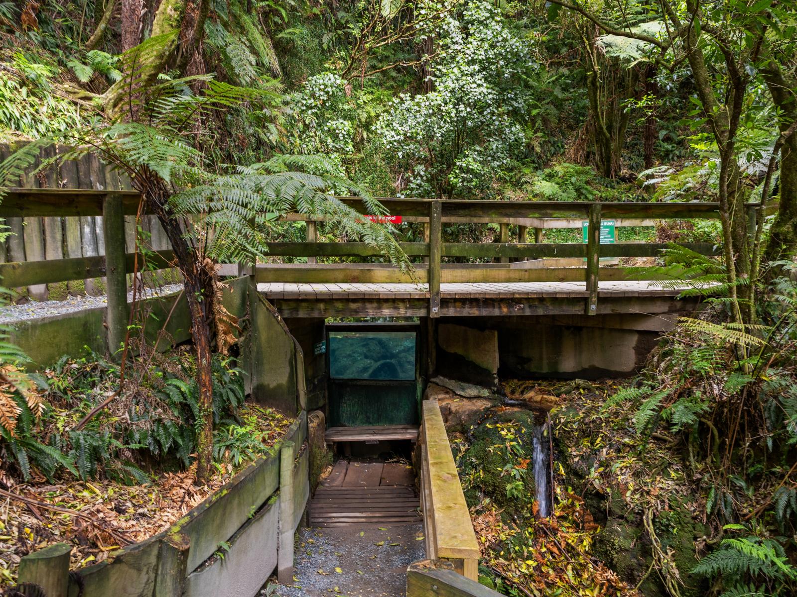 135E(a) McLaren Falls Road, Omanawa