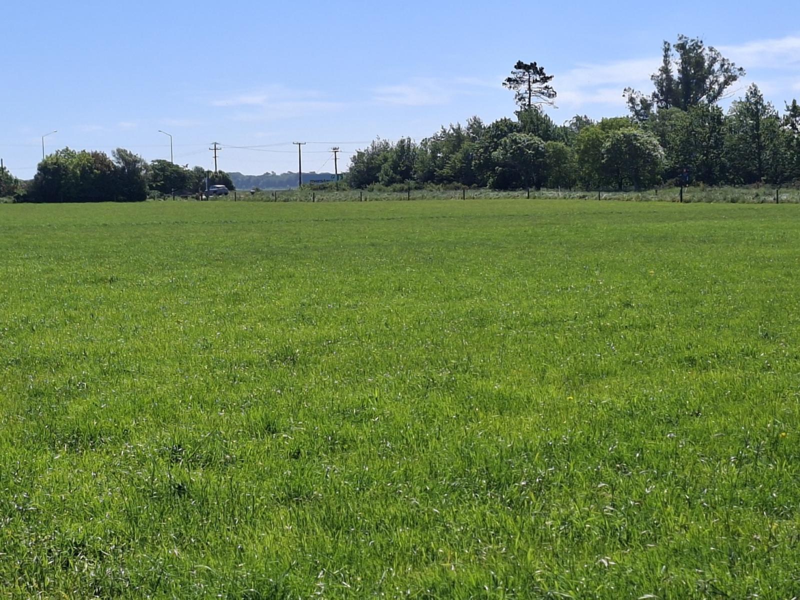 21 Dominion Road, Kerrytown