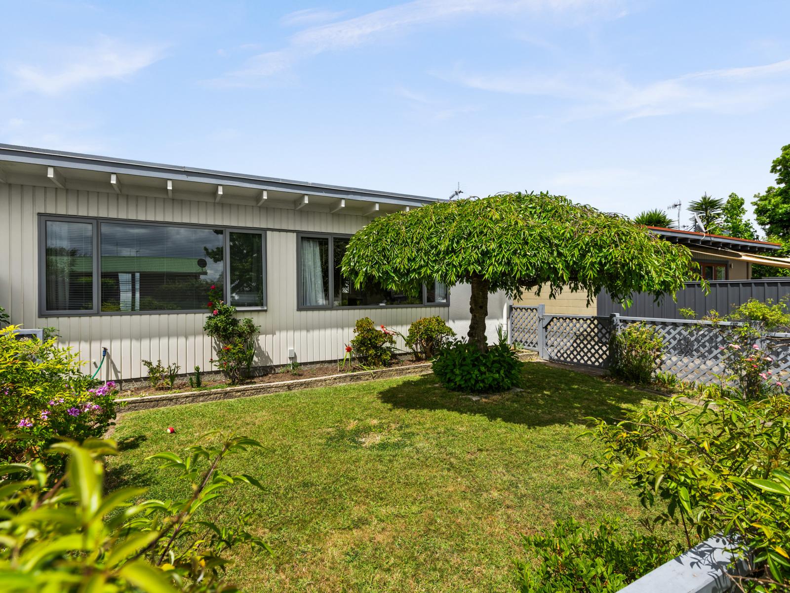 56 Rochester Street, Tamatea