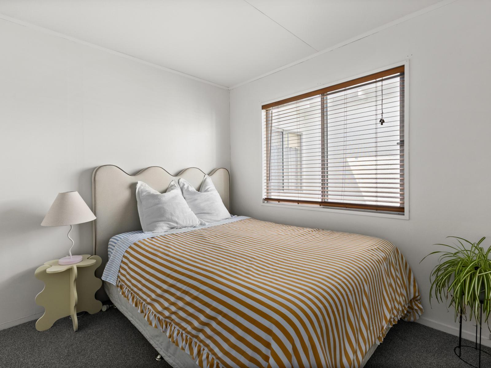 56 Rochester Street, Tamatea