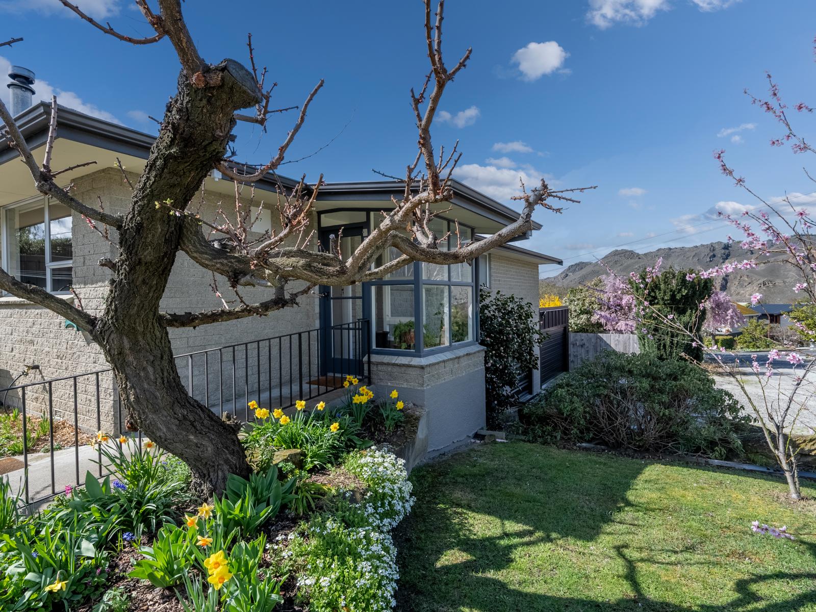 17 The Half Mile, Alexandra