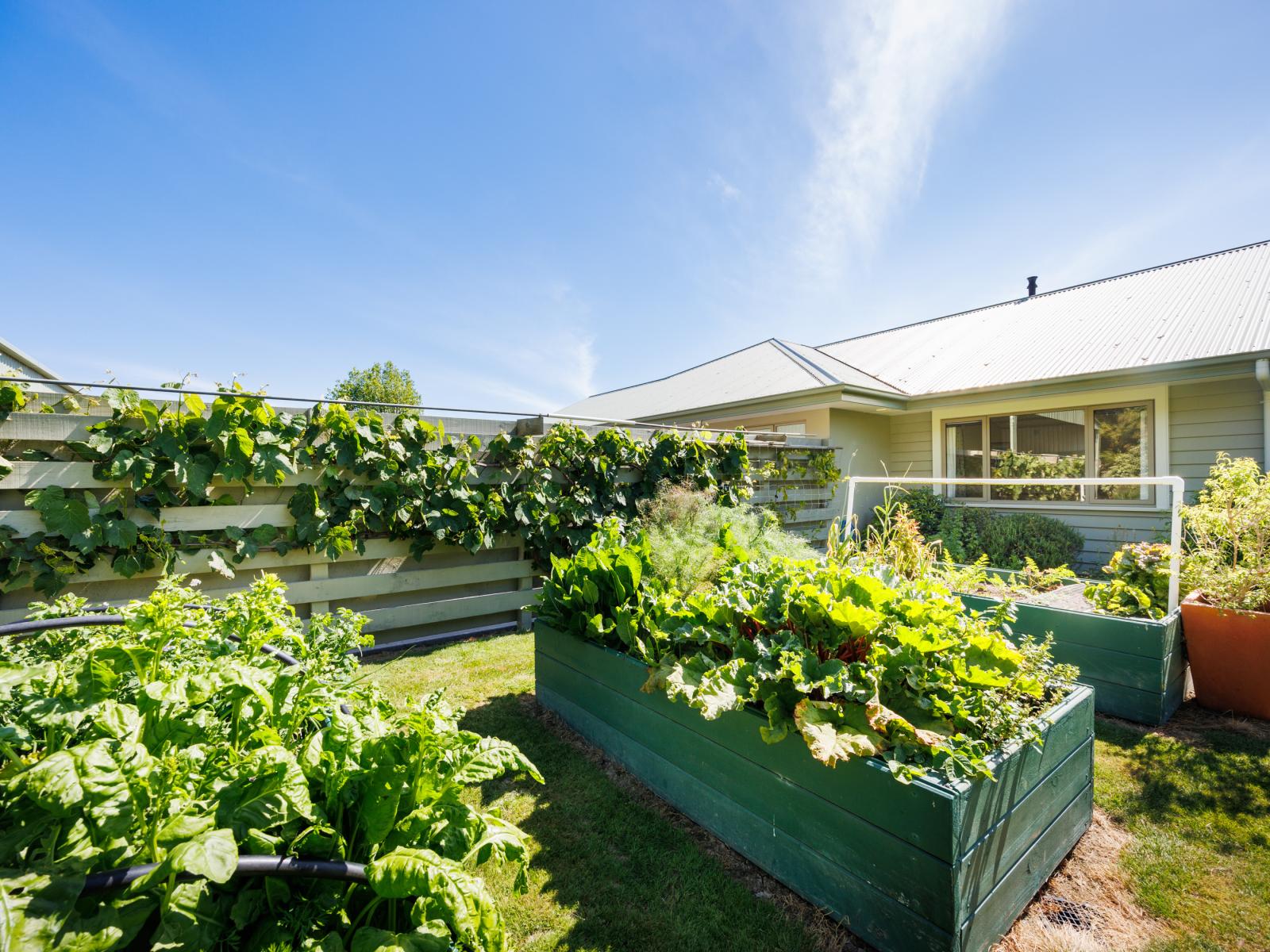 16 Oranga Lane, Feilding