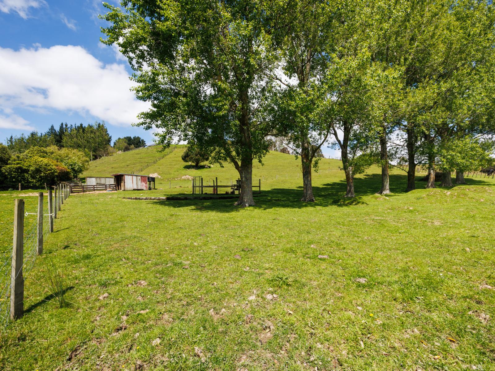39 County Heights Drive, Aokautere