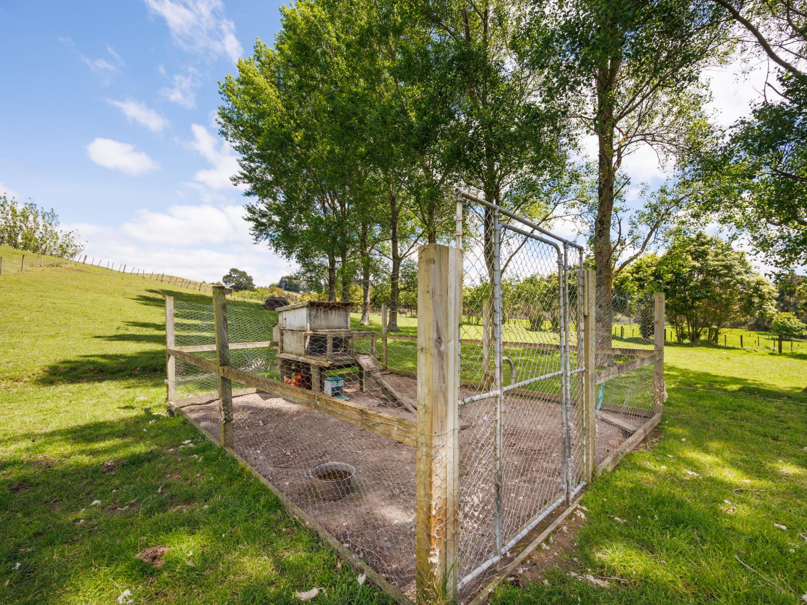 39 County Heights Drive, Aokautere
