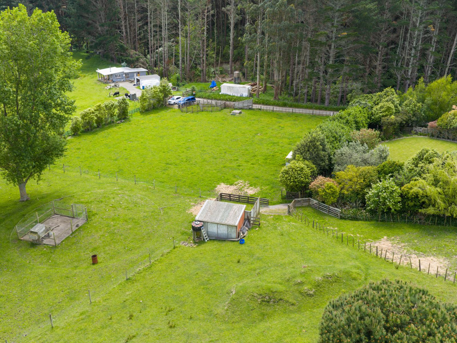 39 County Heights Drive, Aokautere