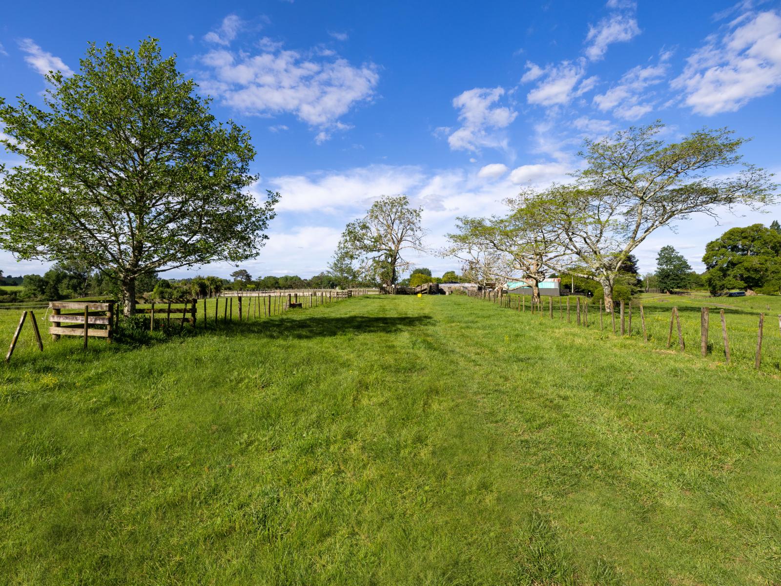 810 Pirongia Road, Pirongia