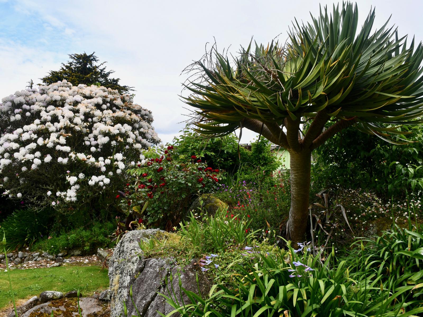 4 Arapito Road, Karamea