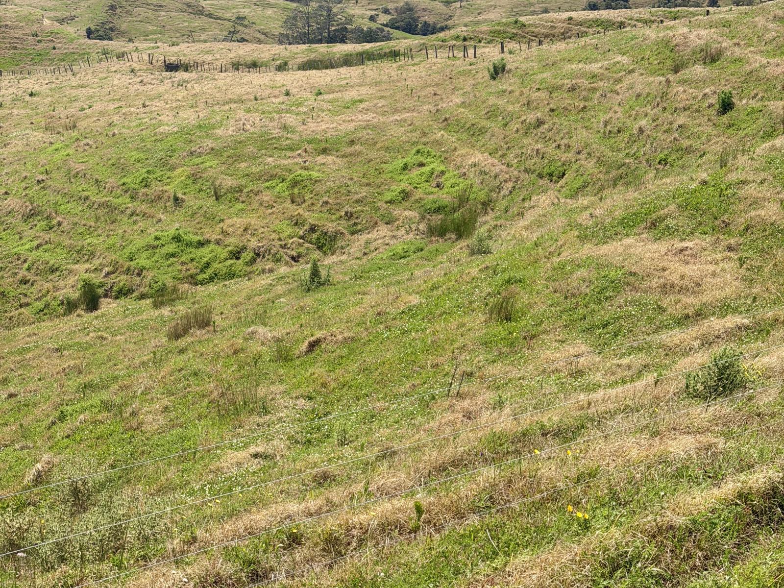 Pukehuia Road, Arapohue