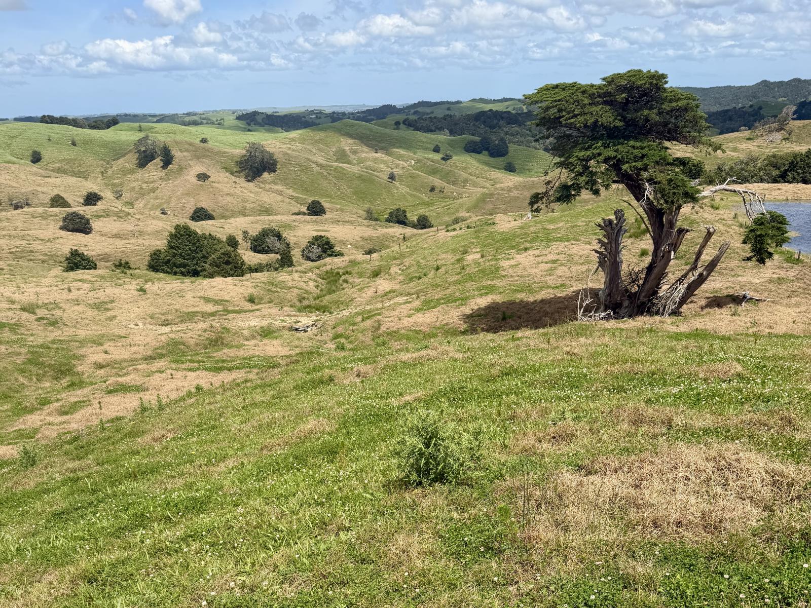 Pukehuia Road, Arapohue