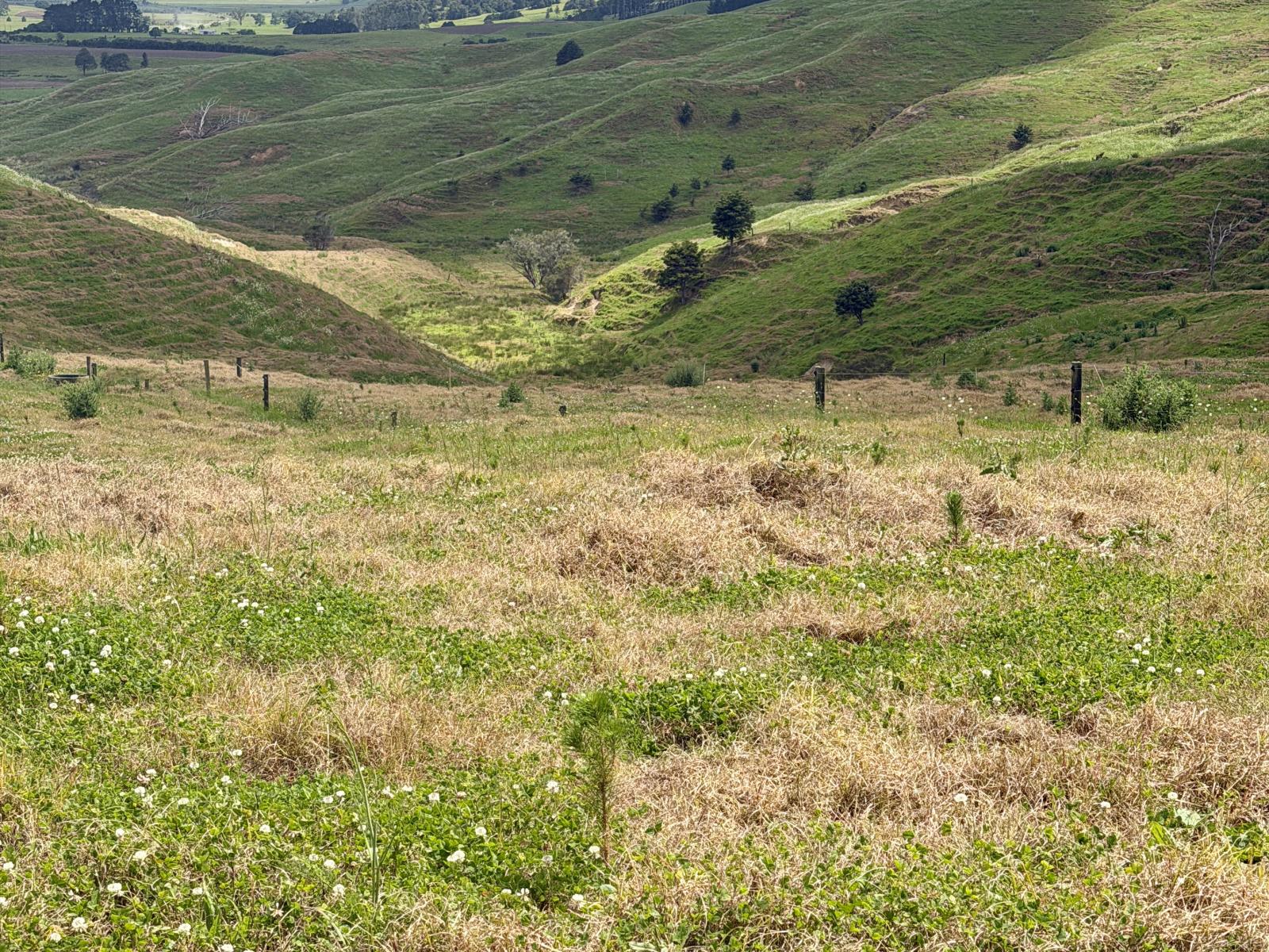 Pukehuia Road, Arapohue