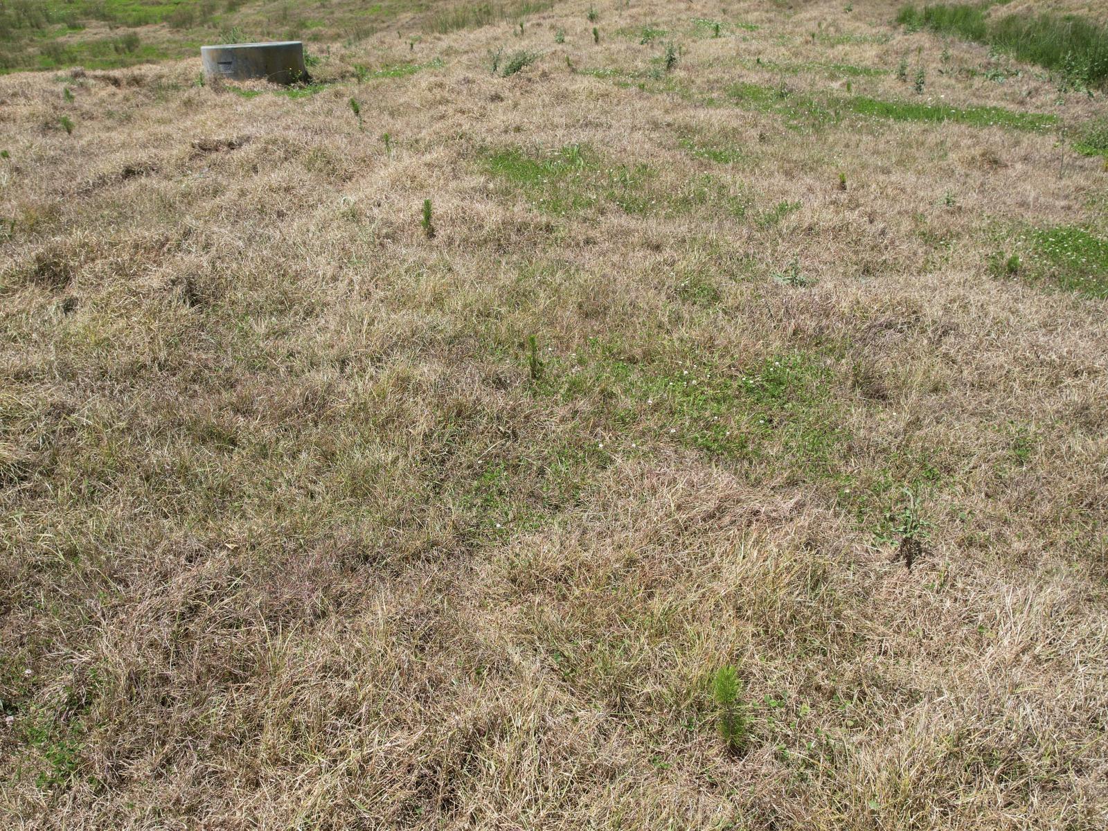 Pukehuia Road, Arapohue