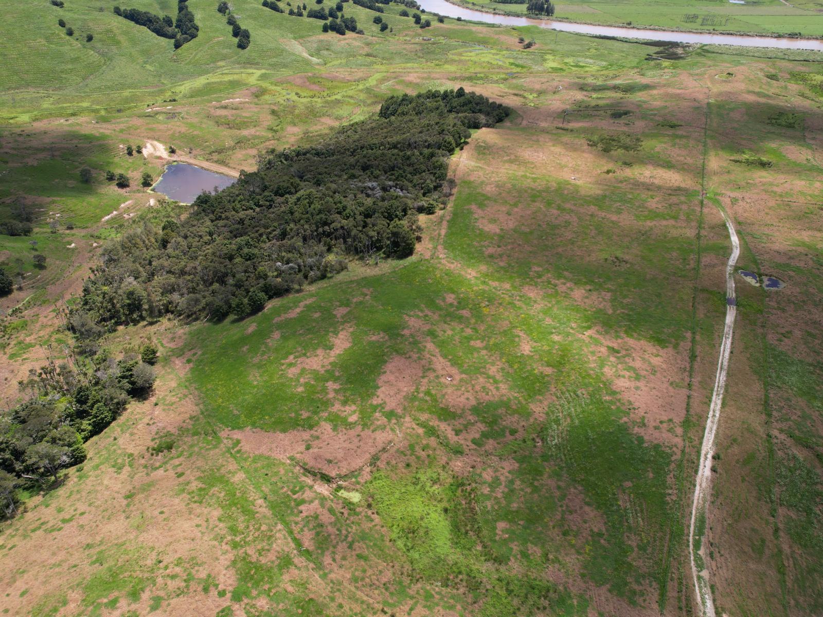 Pukehuia Road, Arapohue