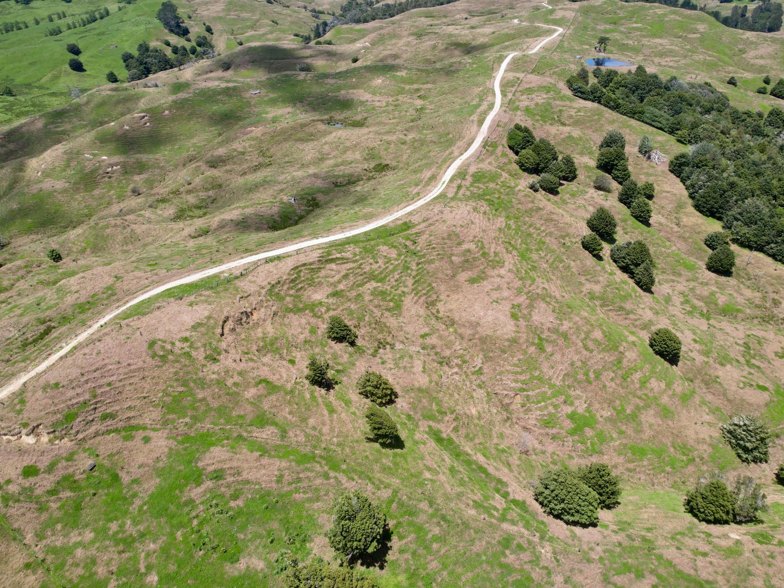 Pukehuia Road, Arapohue