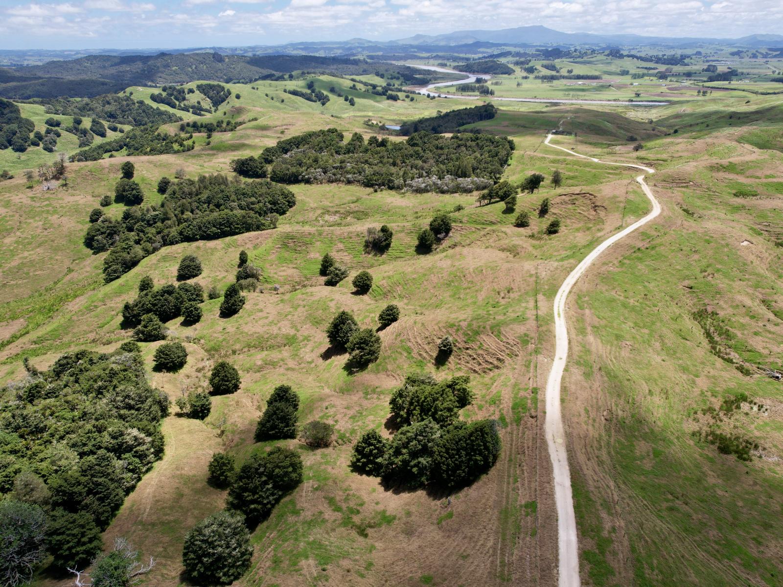 Pukehuia Road, Arapohue