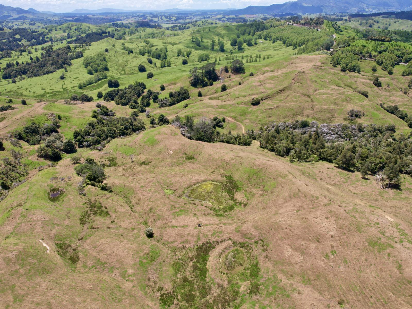 Pukehuia Road, Arapohue