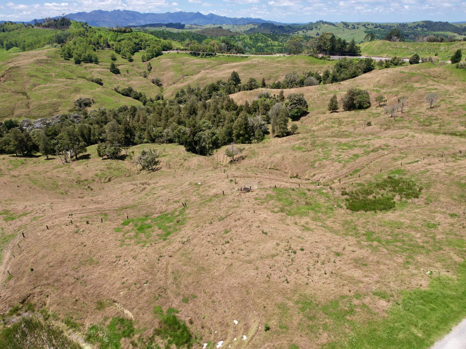 Pukehuia Road, Arapohue