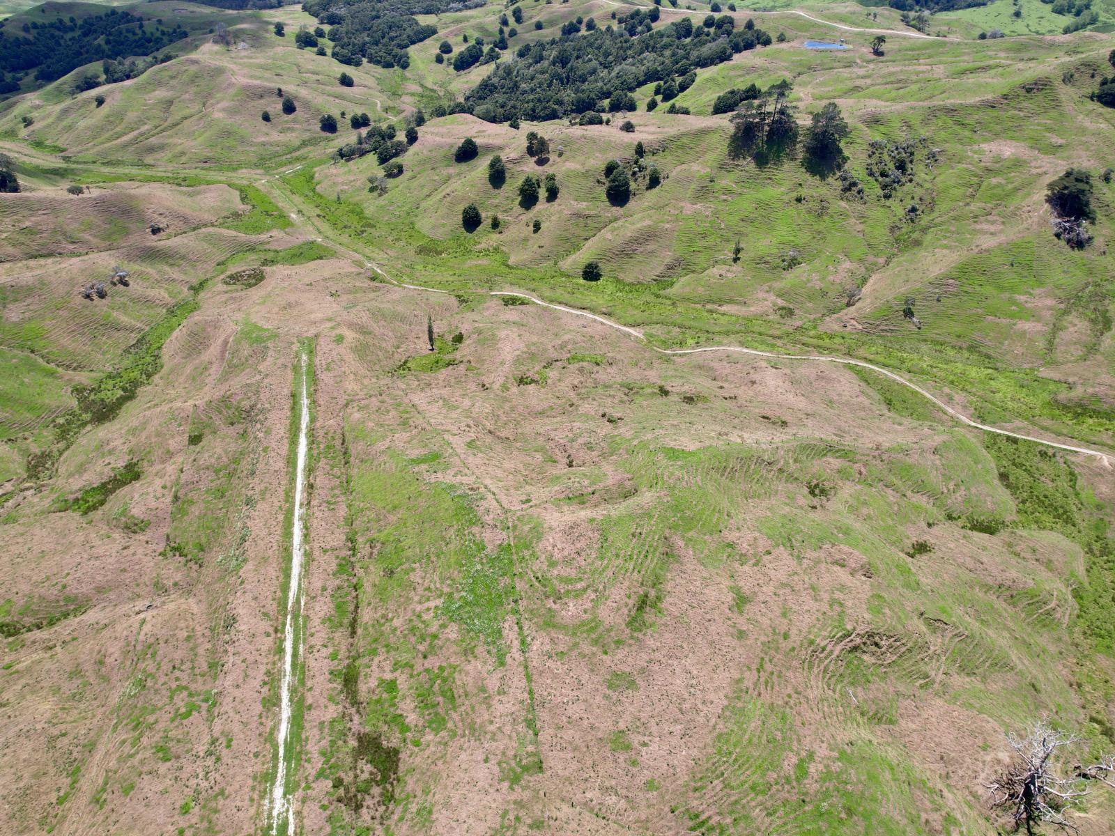 Pukehuia Road, Arapohue