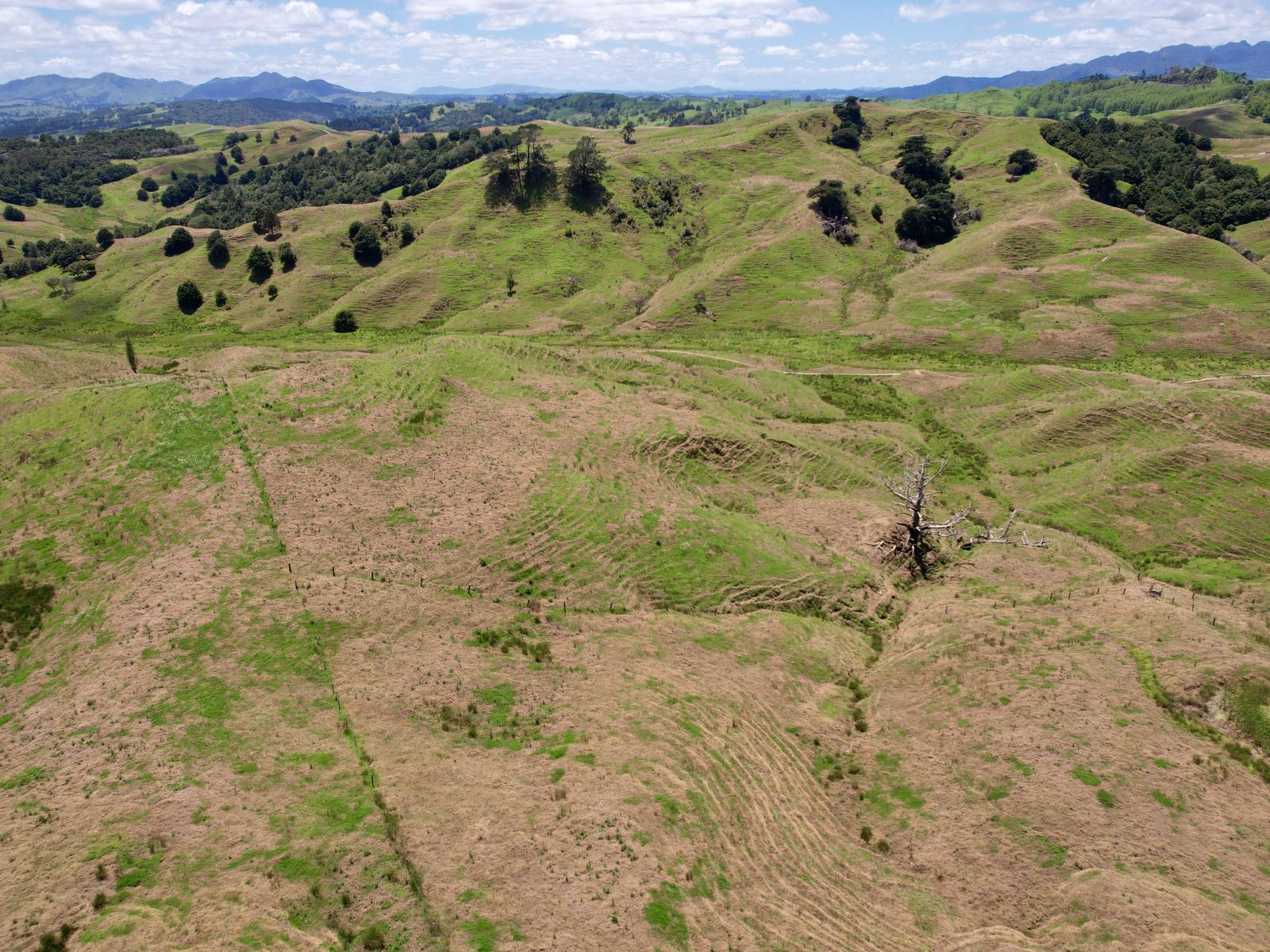 Pukehuia Road, Arapohue