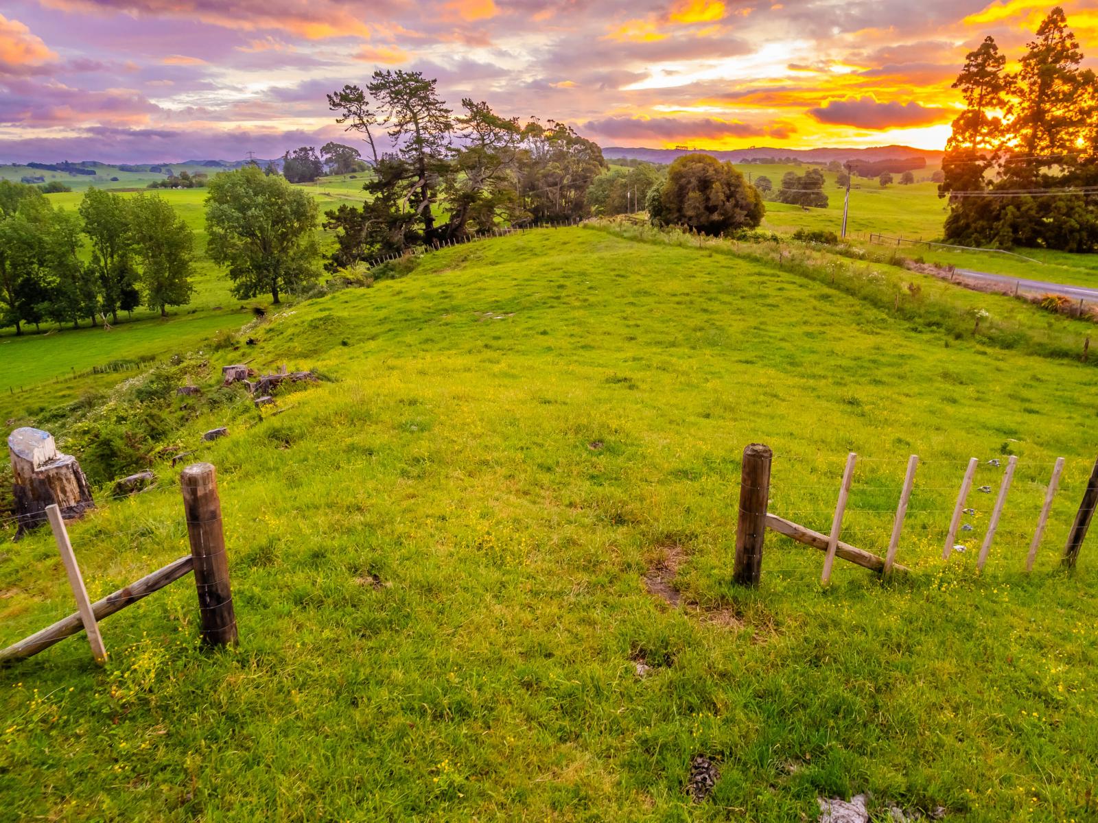 Hetherington Road and Waikokowai Roads, Huntly