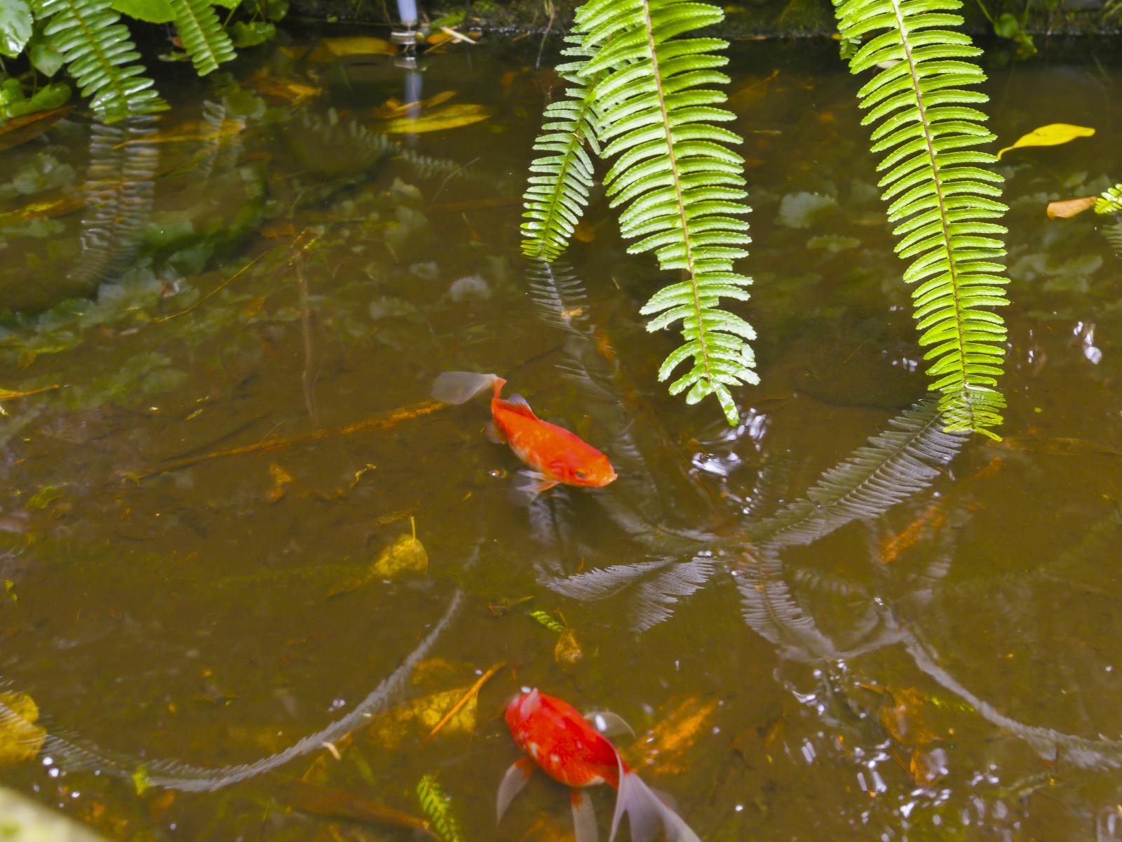 111 Winchester Street, Levin