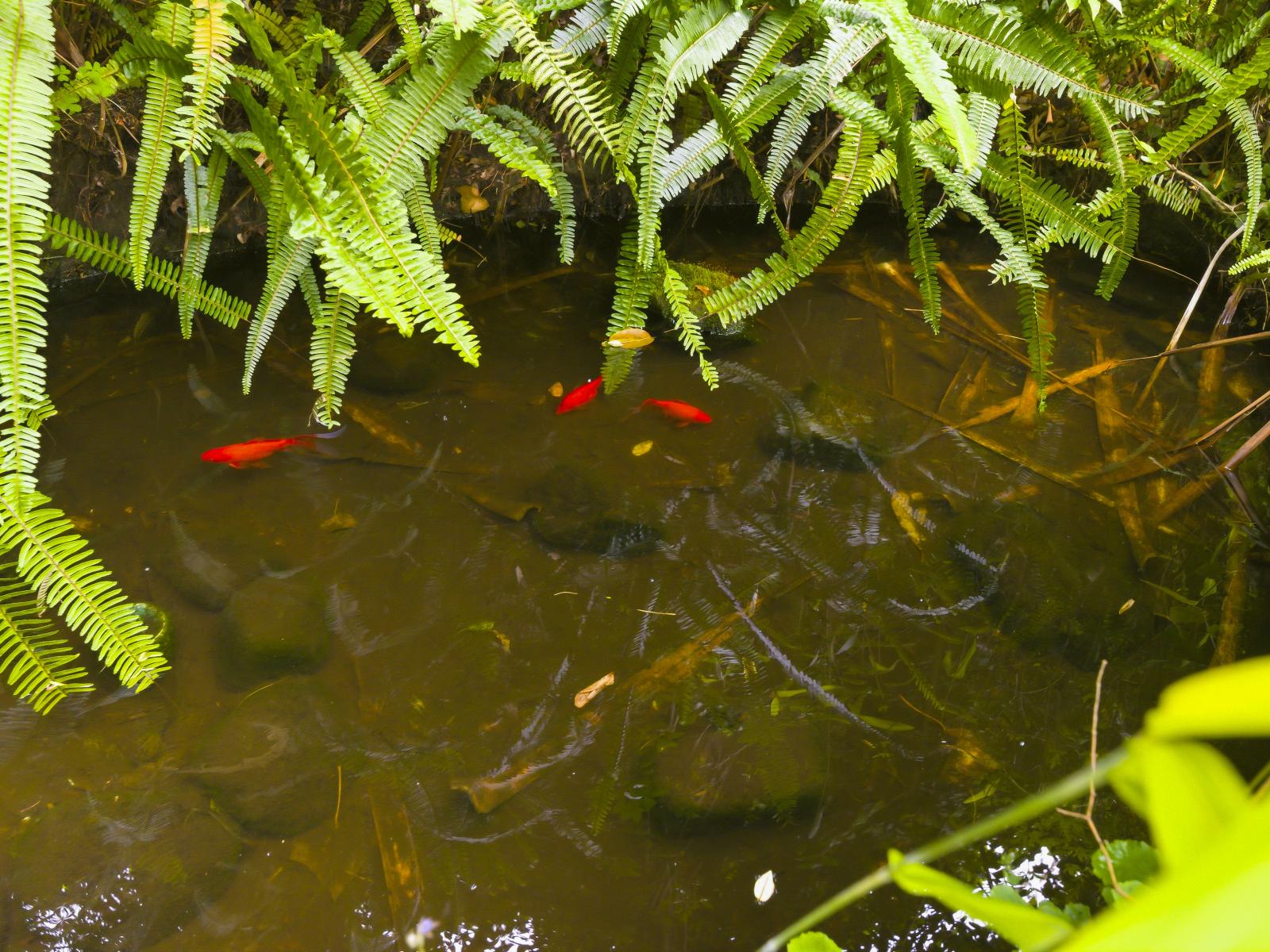 111 Winchester Street, Levin