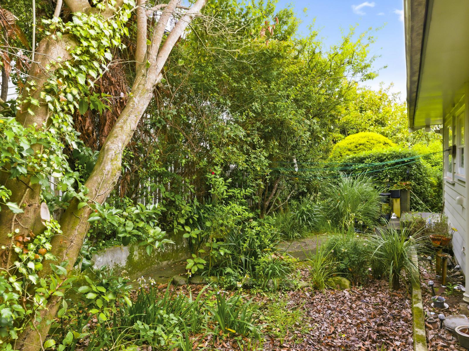 111 Winchester Street, Levin