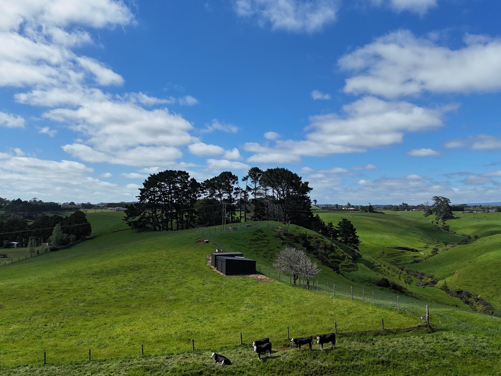 75d Bishop Road, Hillsborough