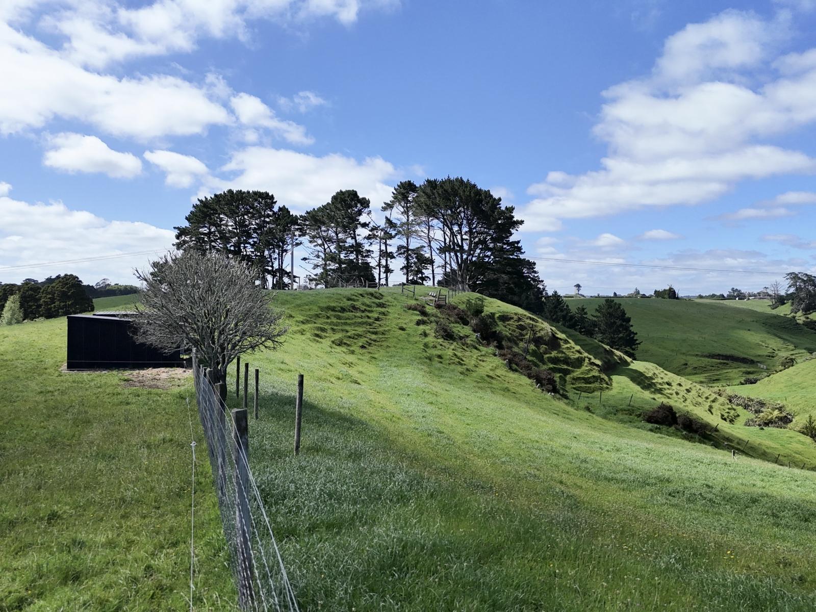 75d Bishop Road, Hillsborough