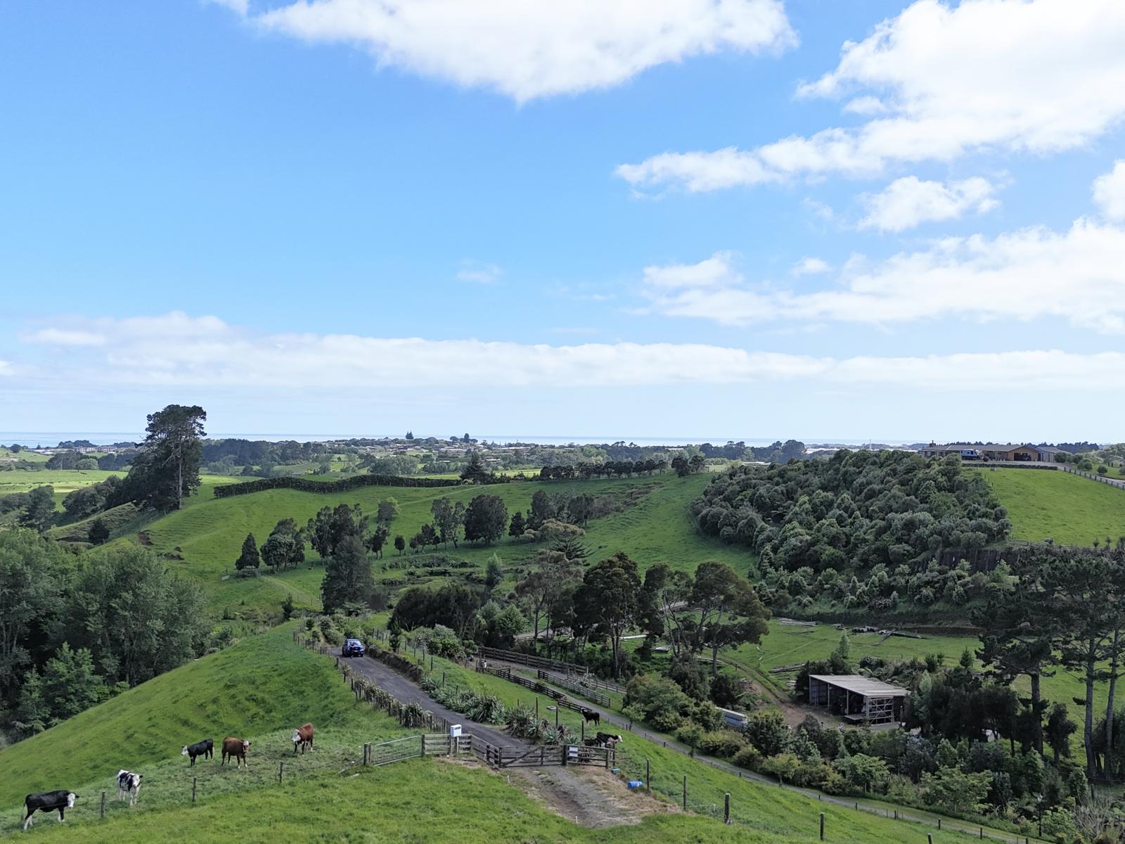 75d Bishop Road, Hillsborough