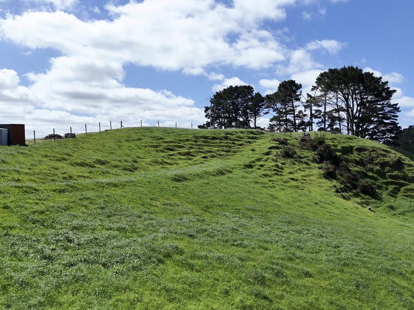 75d Bishop Road, Hillsborough