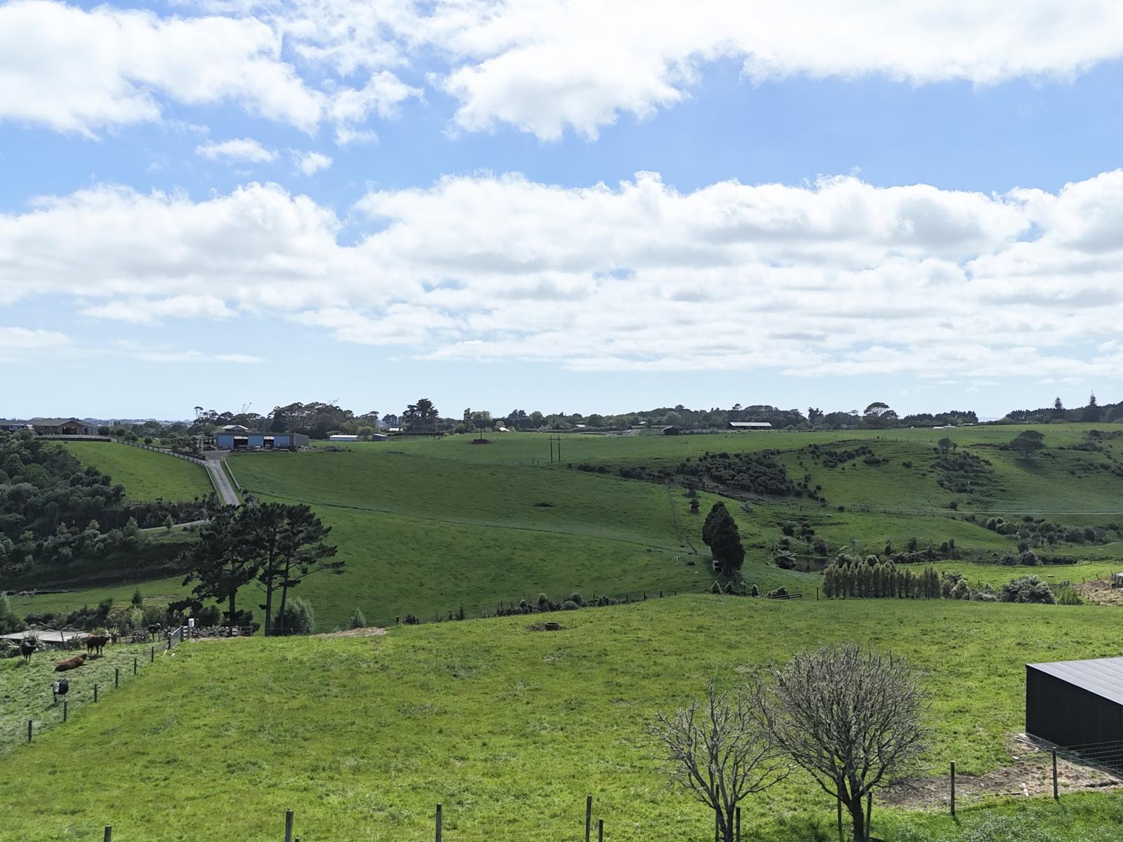 75d Bishop Road, Hillsborough