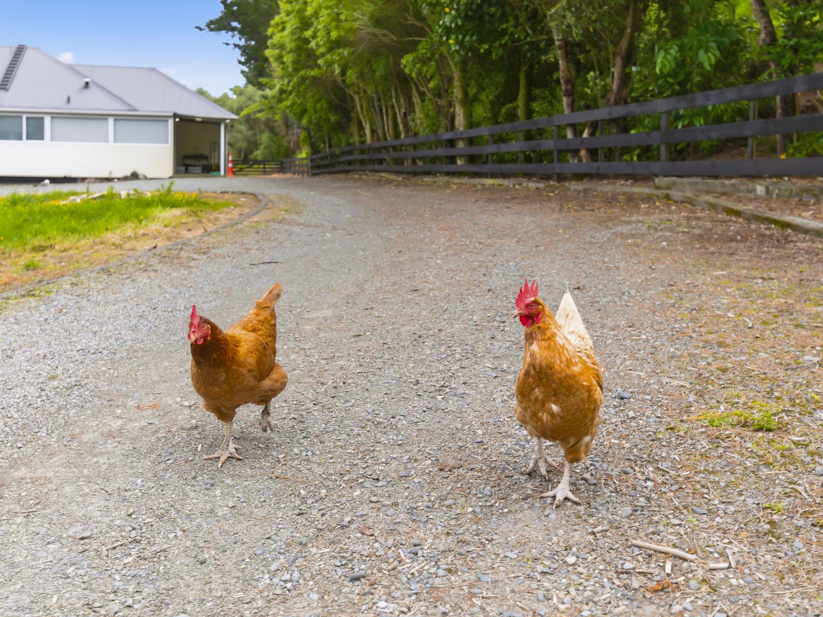 258 Waitohu Valley Road, Otaki