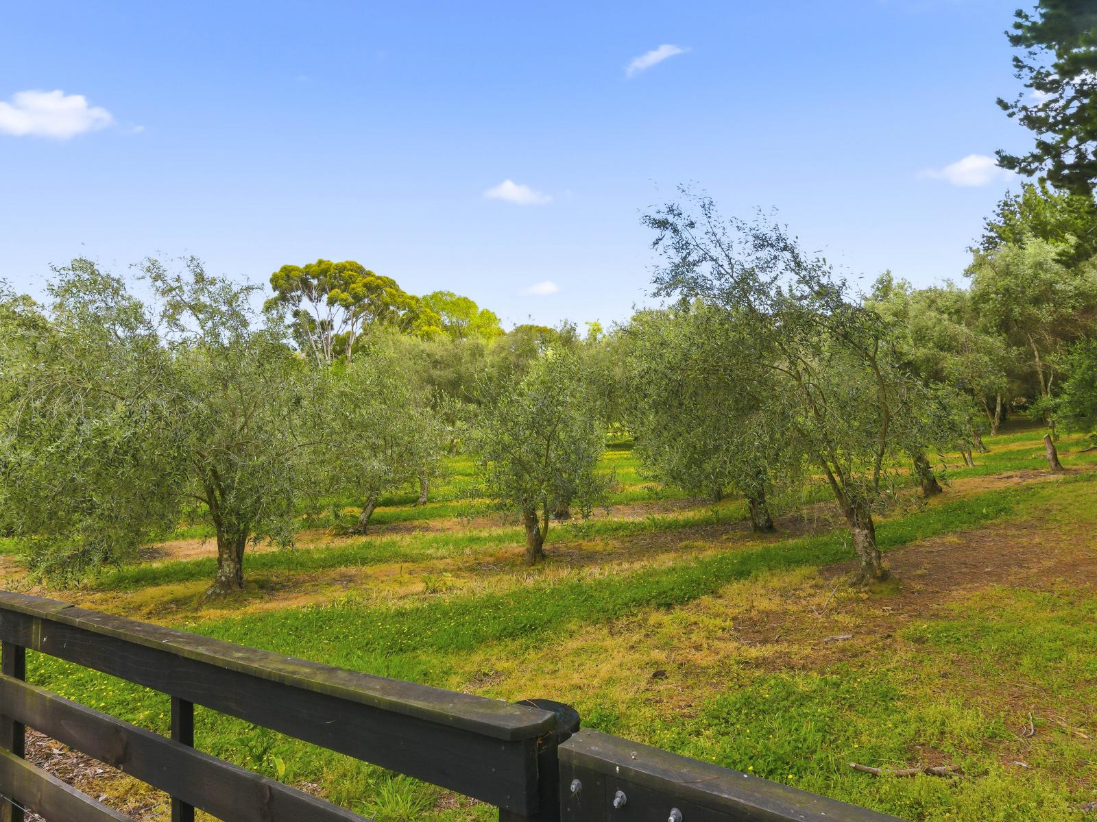 258 Waitohu Valley Road, Otaki